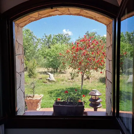 B&B Castiglias-2